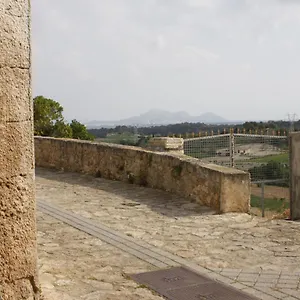 Sa Madona De Sa Pleta Muro