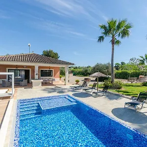 Yourhouse Romani Muro